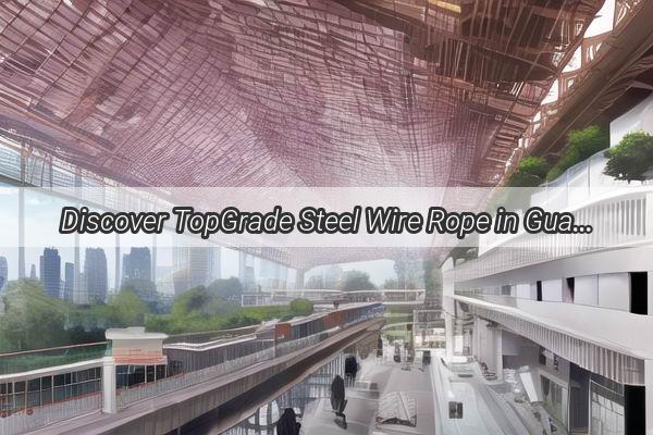 Discover TopGrade Steel Wire Rope in Guangzhou Connect with the Leading Manufacturer Today